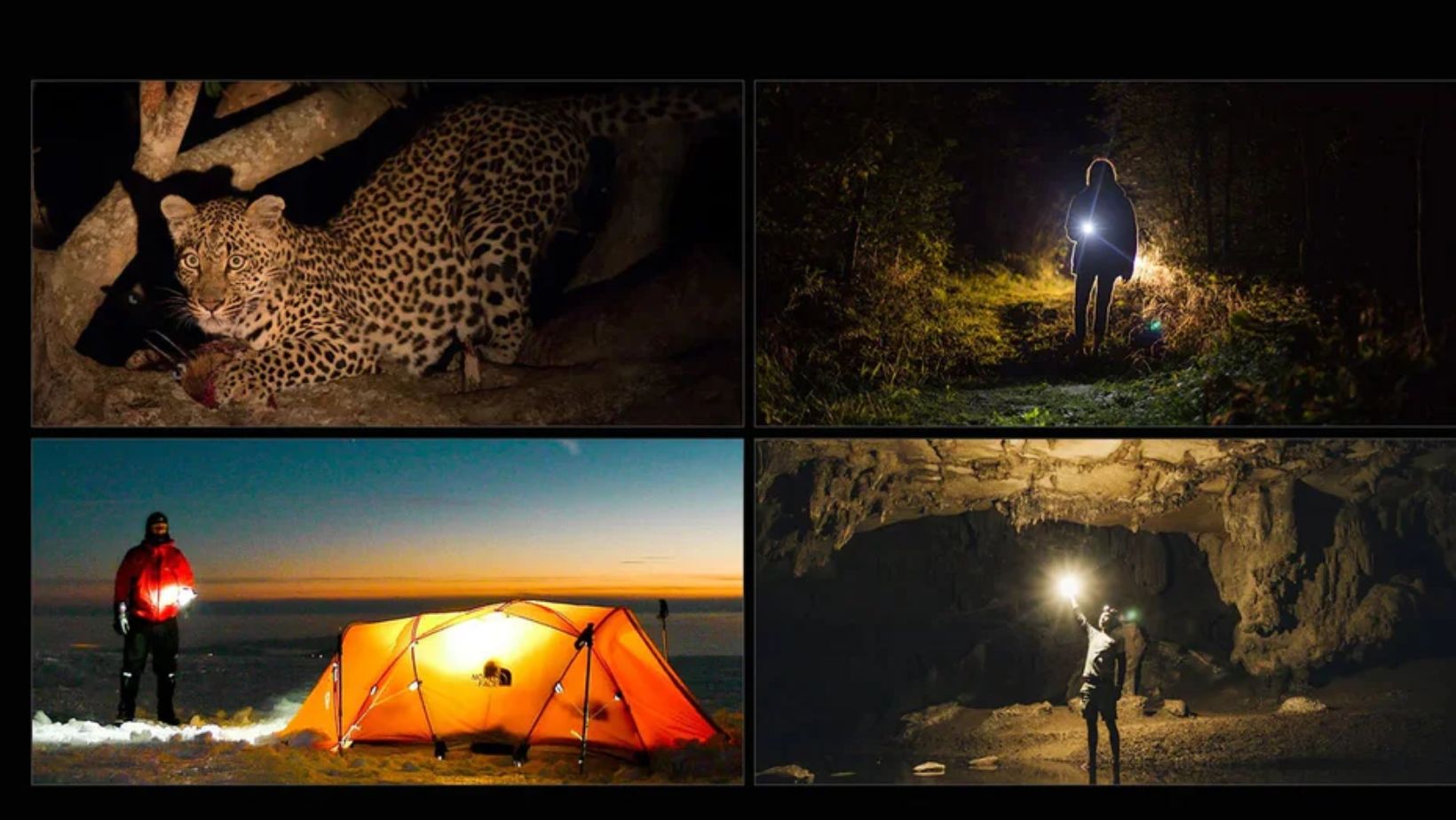 How to Use Your Flashlight for Signaling, Camping, and Self-Defense?